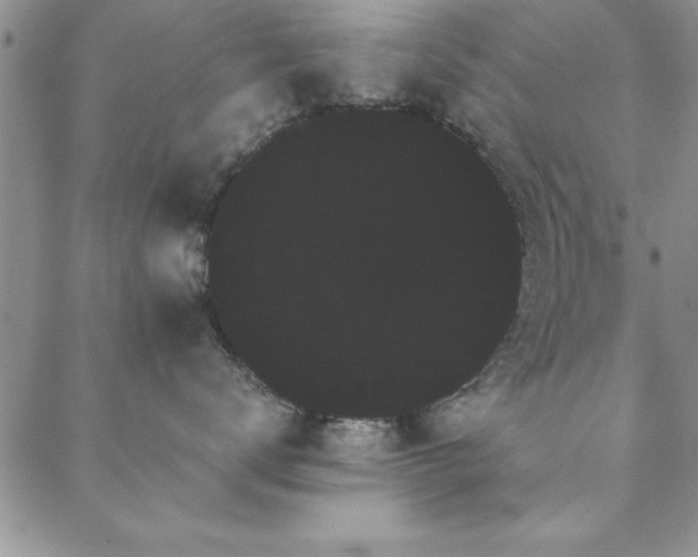 X0000088590672200705251151