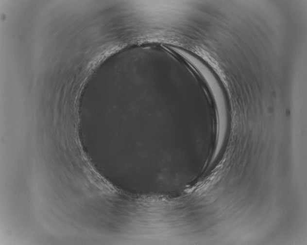 X0000088590673200705251150