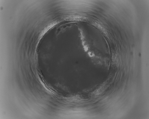 X0000088590674200705251150