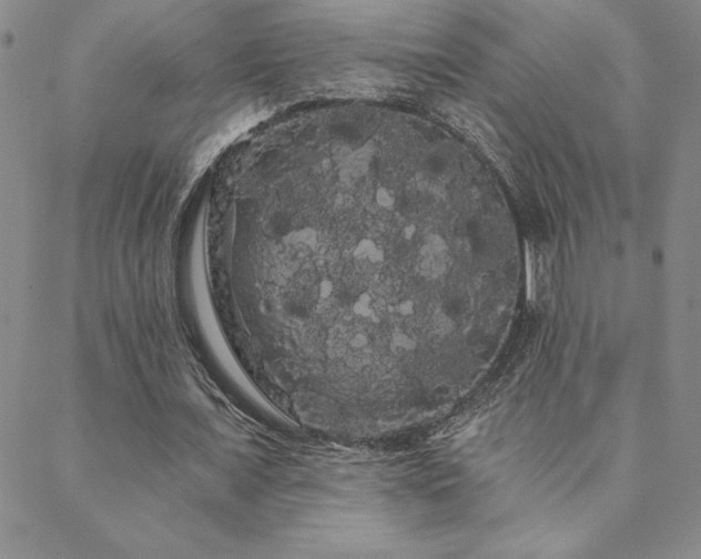 X0000088590675200705251150