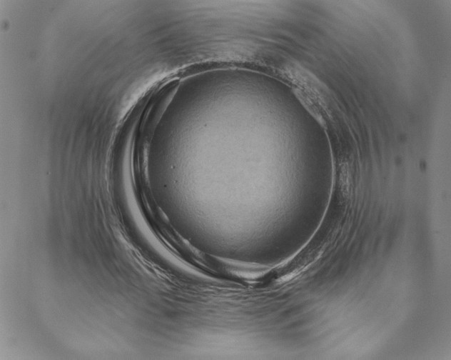 X0000088590676200705251150