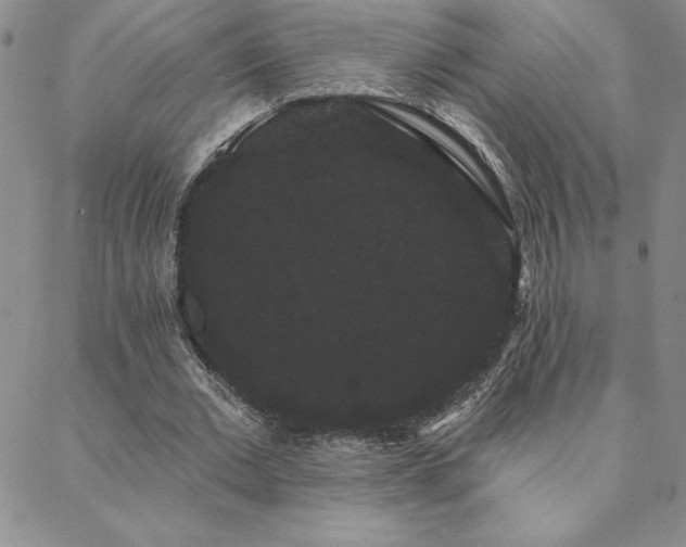 X0000088590677200705251150