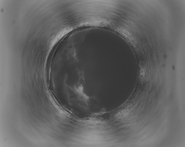 X0000088590678200705251150