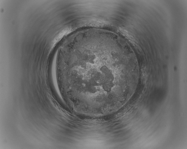 X0000088590679200705251150