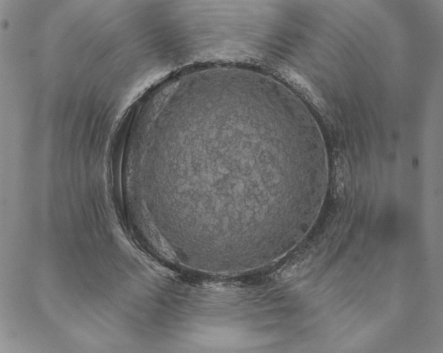 X0000088590680200705251150