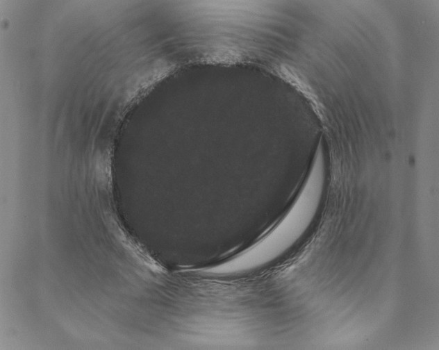 X0000088590681200705251150