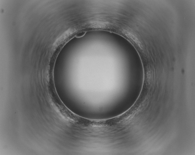 X0000088590682200705251150