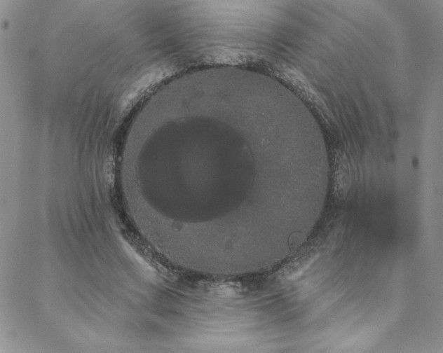 X0000088590683200705251150