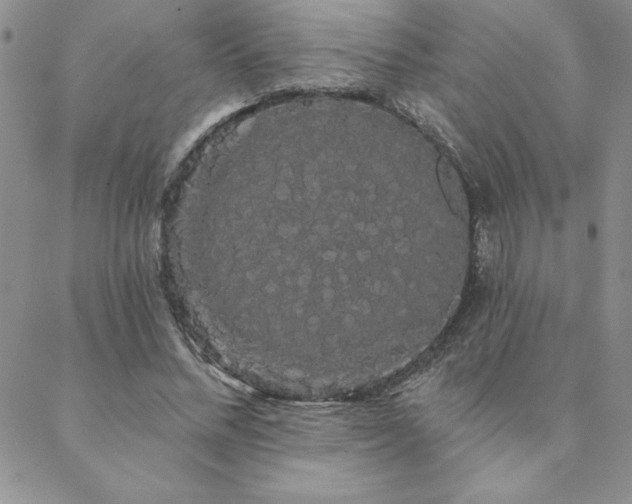 X0000088590684200705251150