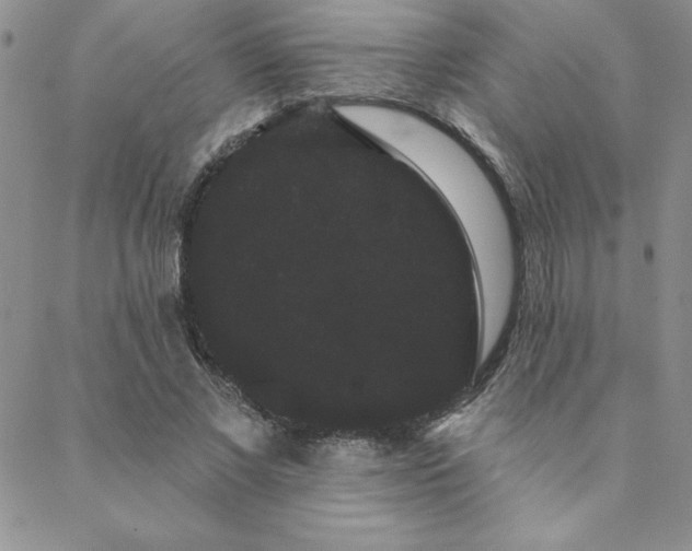 X0000088590685200705251150