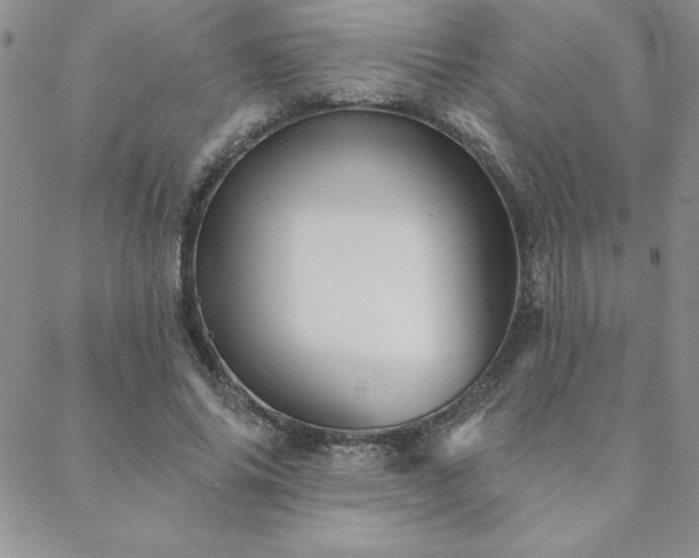 X0000088590686200705251150