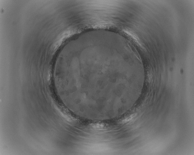 X0000088590687200705251150