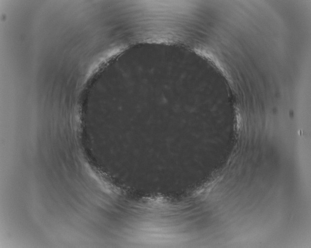 X0000088590688200705251150