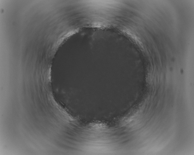 X0000088590689200705251149