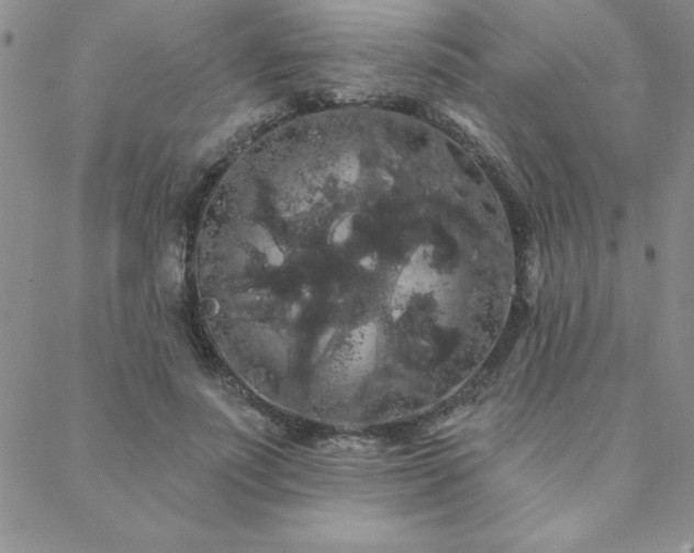 X0000088590691200705251149