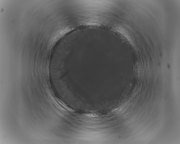 X0000088590692200705251149