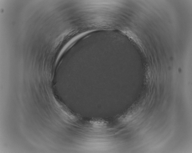 X0000088590693200705251149