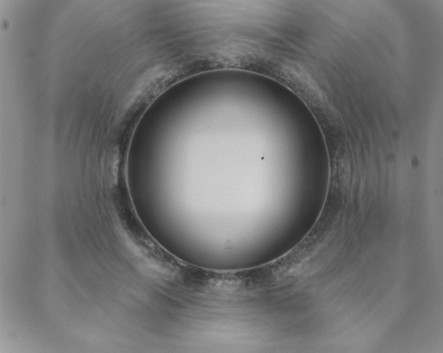 X0000088590694200705251149