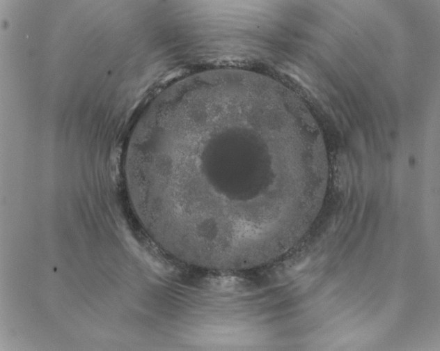 X0000088590695200705251149