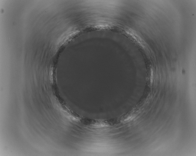 X0000088590696200705251149