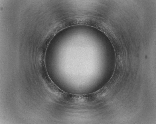 X0000088590698200705251149