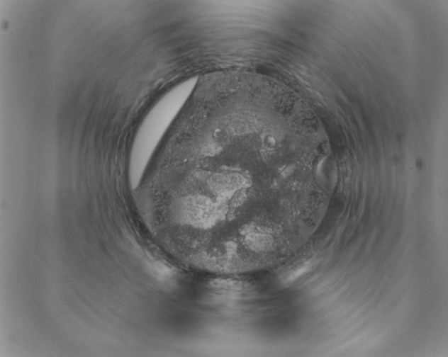 X0000088590699200705251149