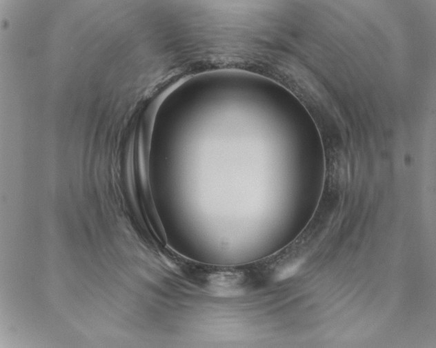 X0000088590700200705251149