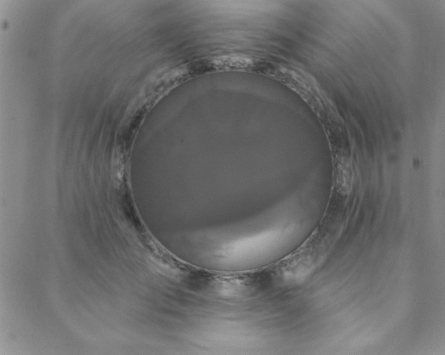 X0000088590701200705251149