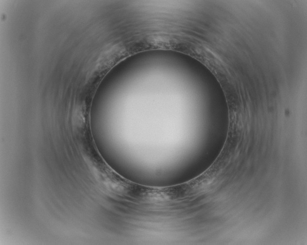 X0000088590702200705251149