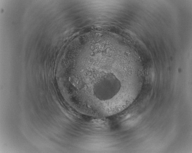 X0000088590703200705251149