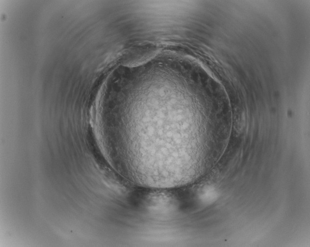 X0000088590704200705251149