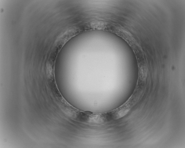 X0000088590705200705251149