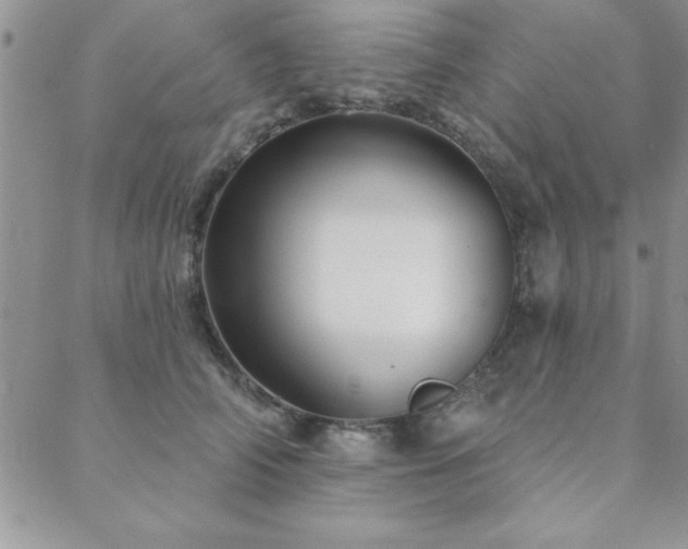 X0000088590706200705251149