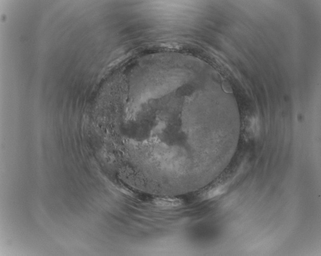 X0000088590707200705251149