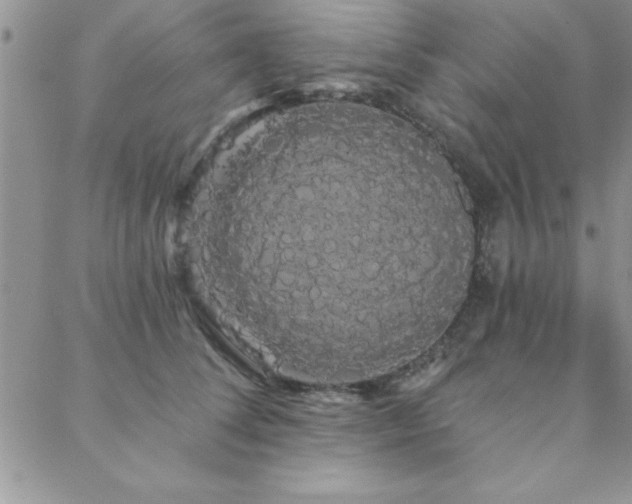 X0000088590708200705251149