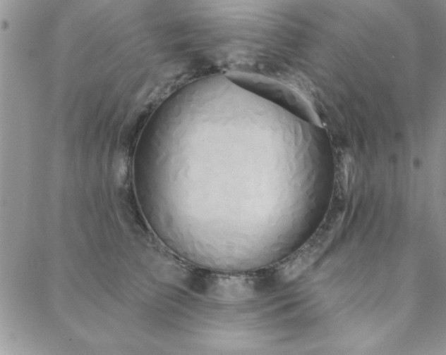 X0000088590709200705251149