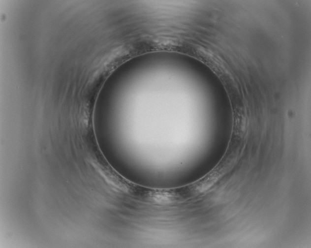 X0000088590710200705251149