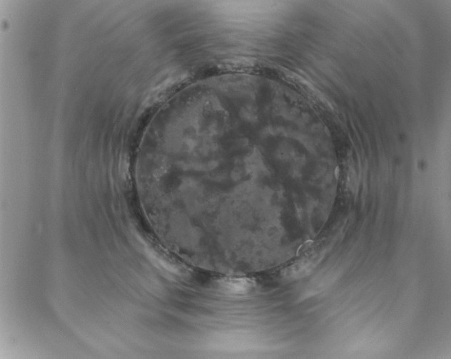 X0000088590711200705251149