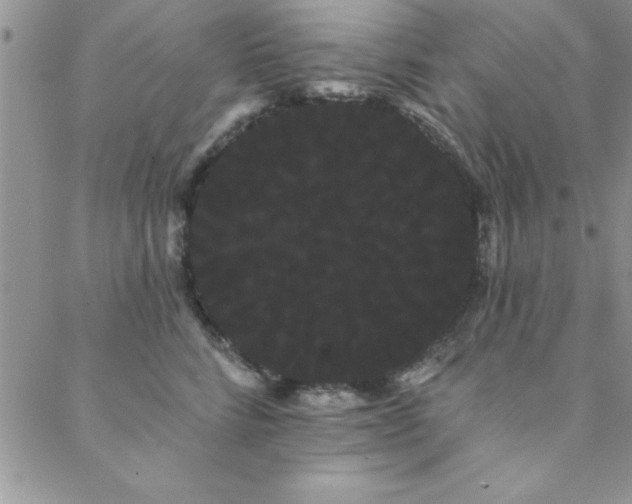 X0000088590712200705251149