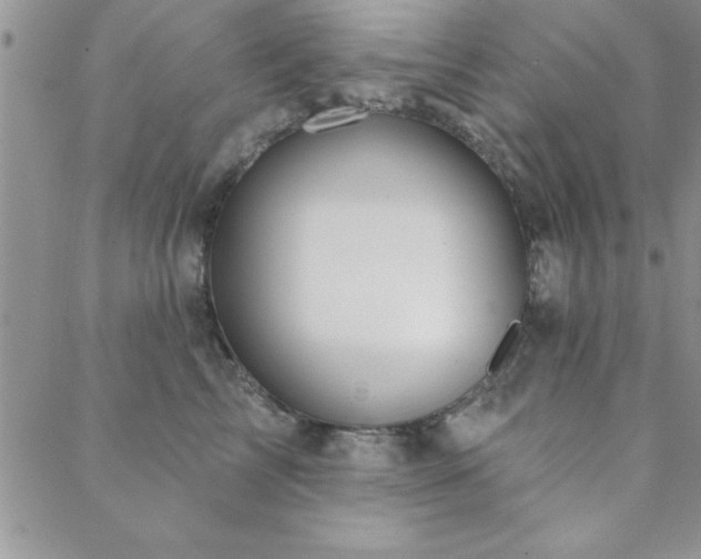 X0000088590713200705251149