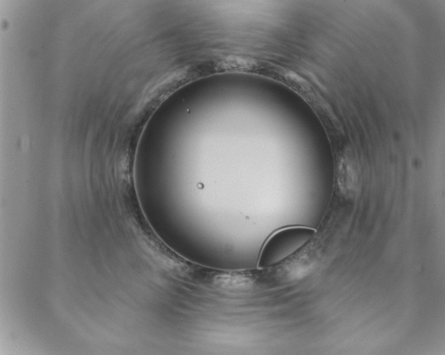 X0000088590714200705251149