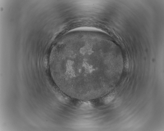 X0000088590715200705251149