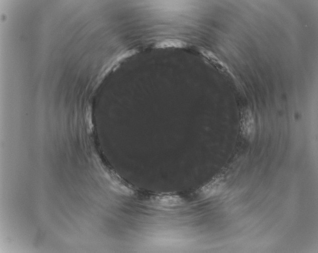 X0000088590716200705251149