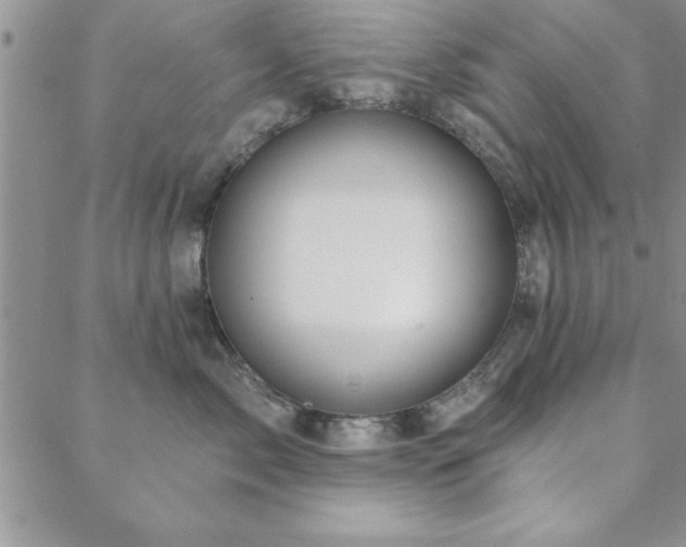 X0000088590717200705251149