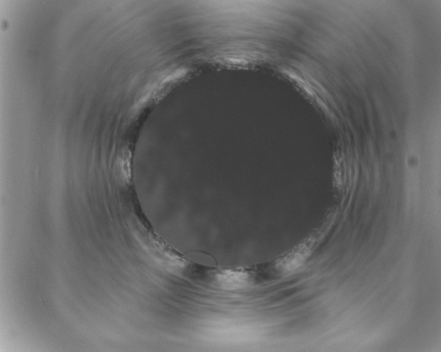 X0000088590718200705251149