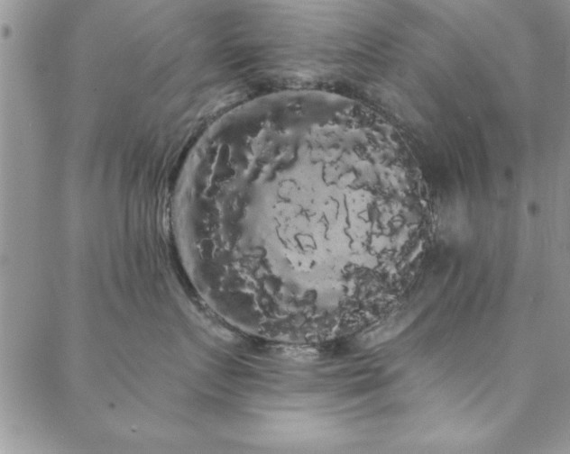 X0000088590719200705251149