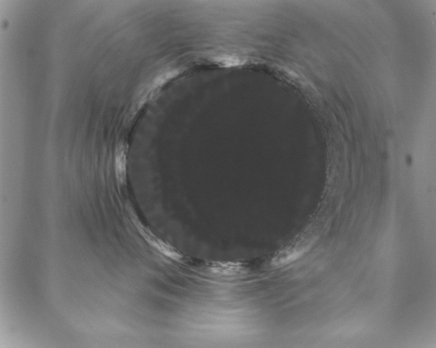 X0000088590720200705251149