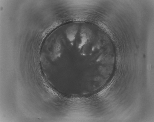 X0000088590721200705251148