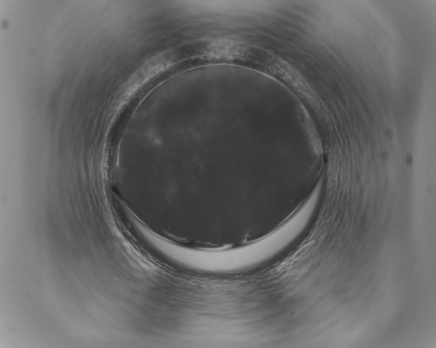 X0000088590722200705251148