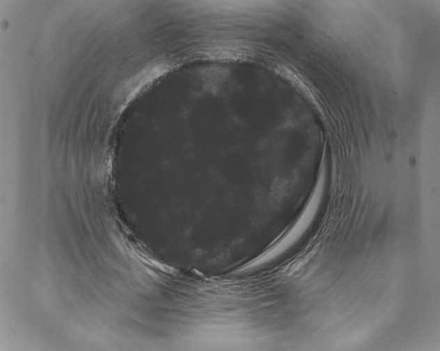 X0000088590723200705251148